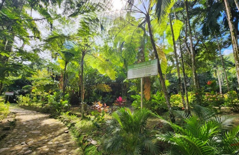 Castleton Botanical Gardens, Jamaica